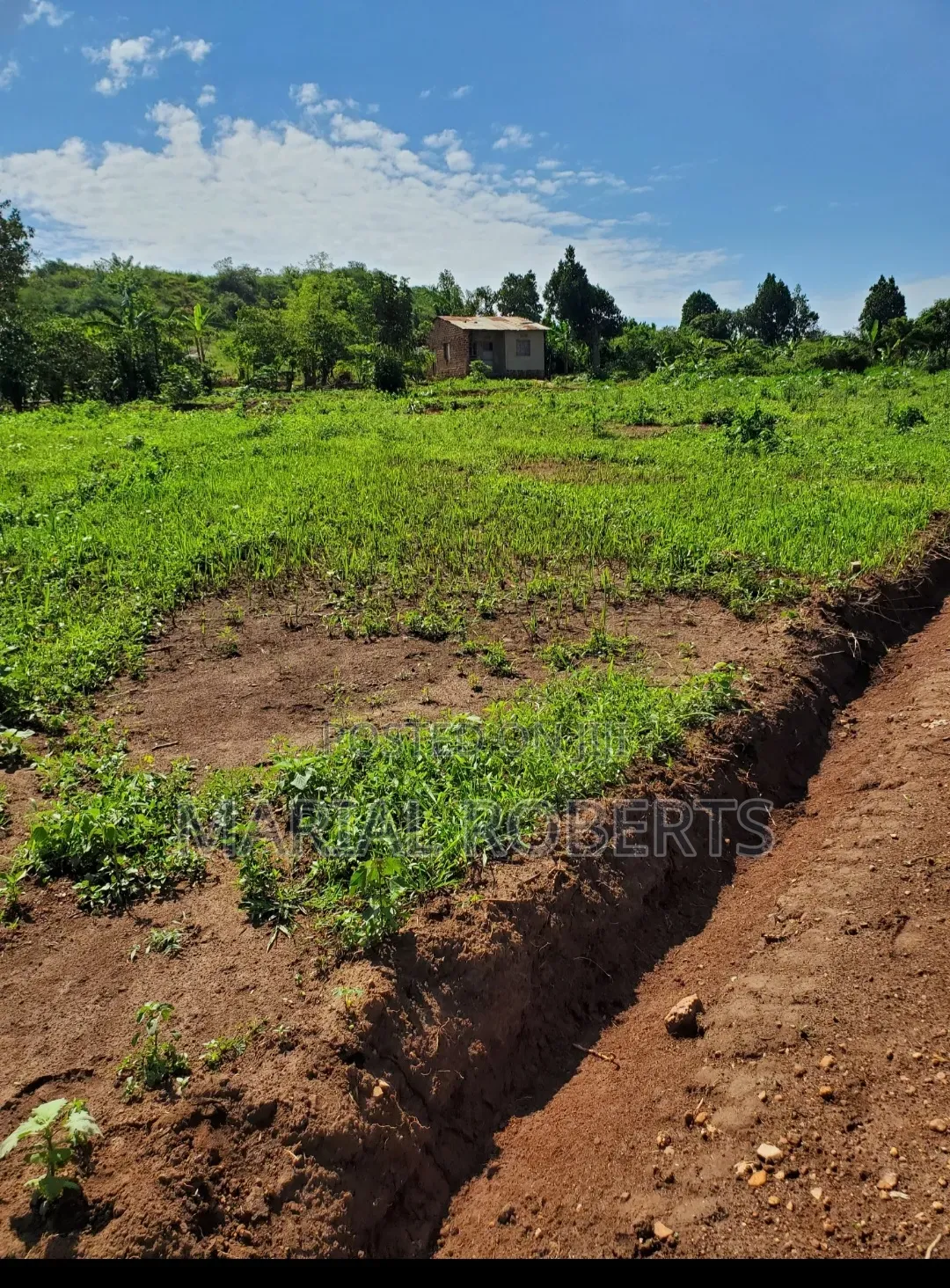 Titled Plots in Bamutakude for Sale