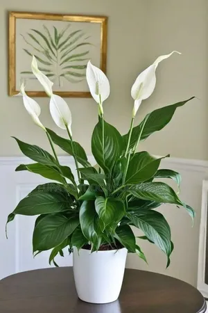 Flowers That Are Good for Indoor Space