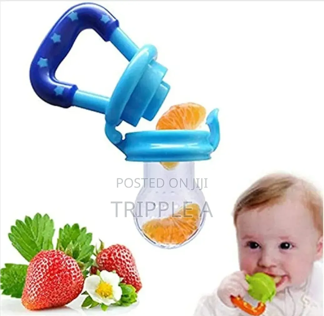 Fresh Fruit Food Baby Feeder