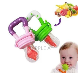 Fresh Fruit Food Baby Feeder