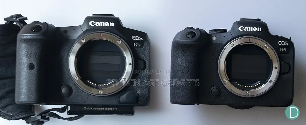Canon Any R Type