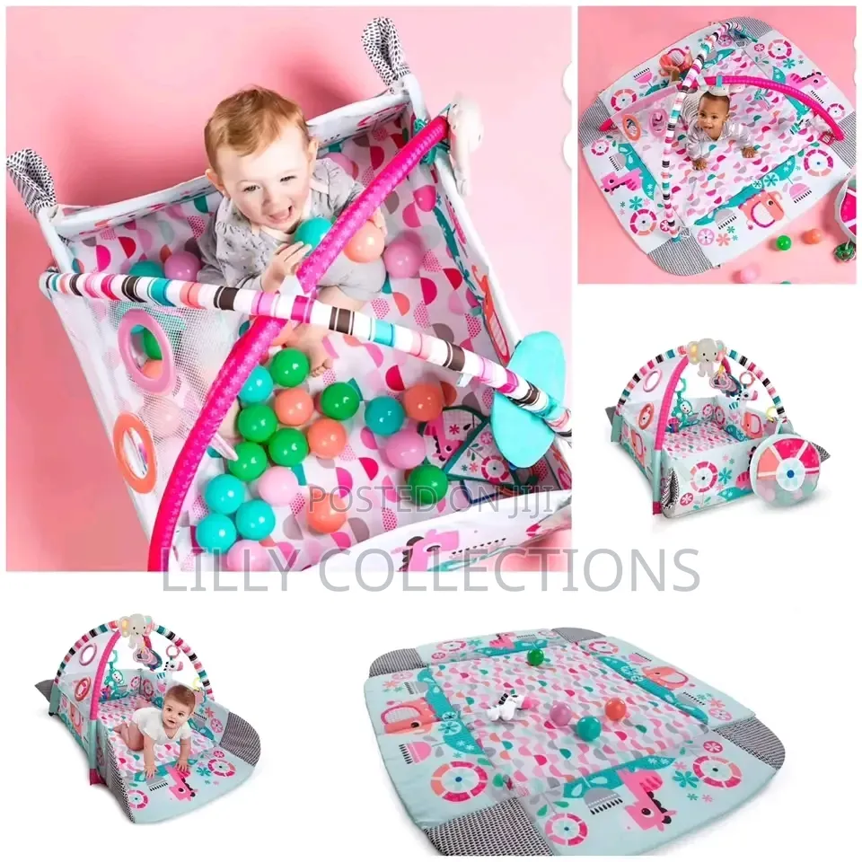 Activity Gym and Ball Pit
