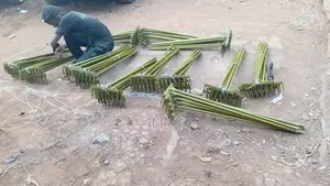 Metallic Rakes