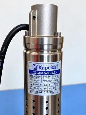 250W Electric Borehole Water Pump 72m Head 1800l/H