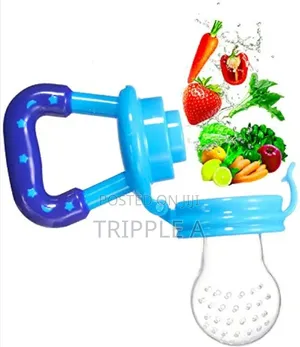 Baby Pacifier Fresh Food Nibbler