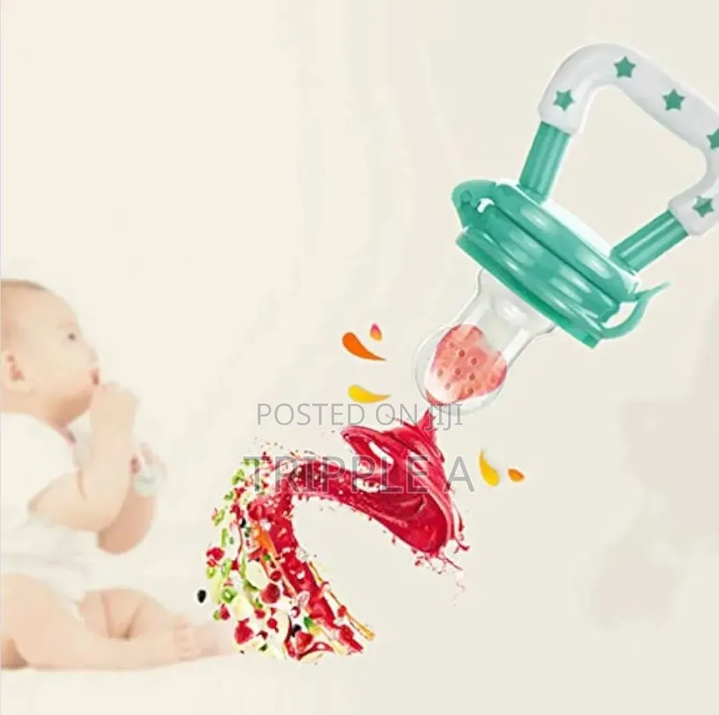 Baby Pacifier Fresh Food Nibbler