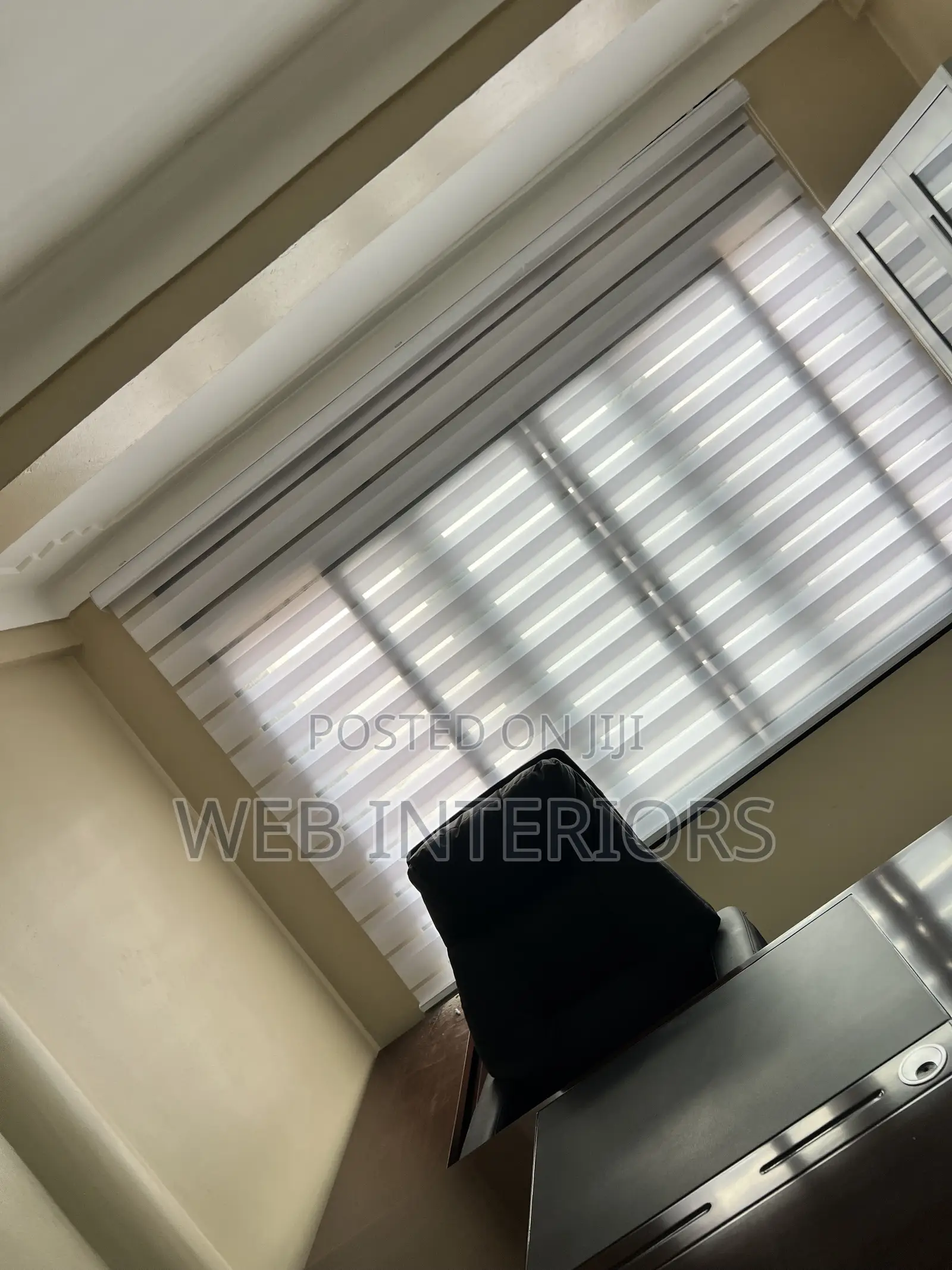Window Zebra Blinds