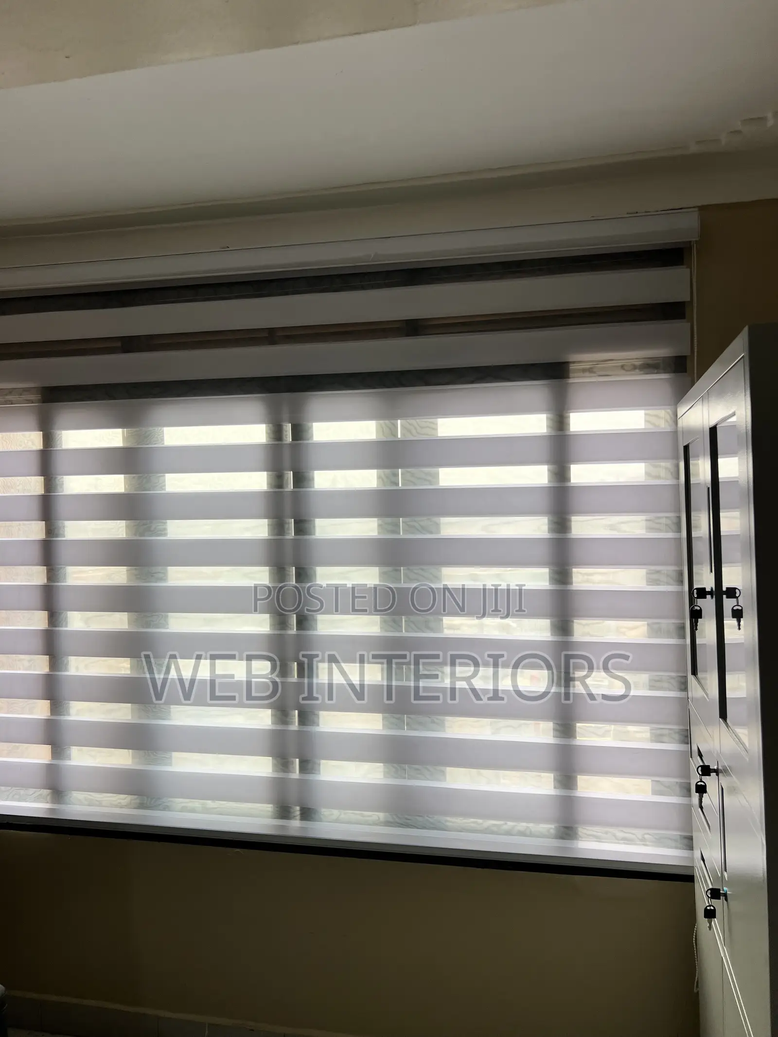 Window Zebra Blinds