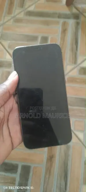 Apple iPhone 12 Pro 128 GB Graphite
