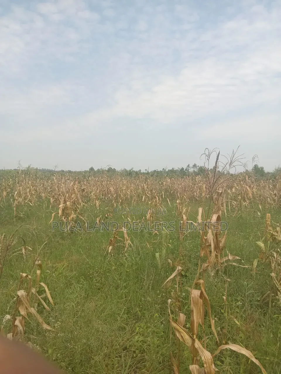 14 Acres for Sale