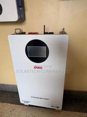 SAKO 51.2V 200Ah LiFePO4 Battery 6000 Cycles