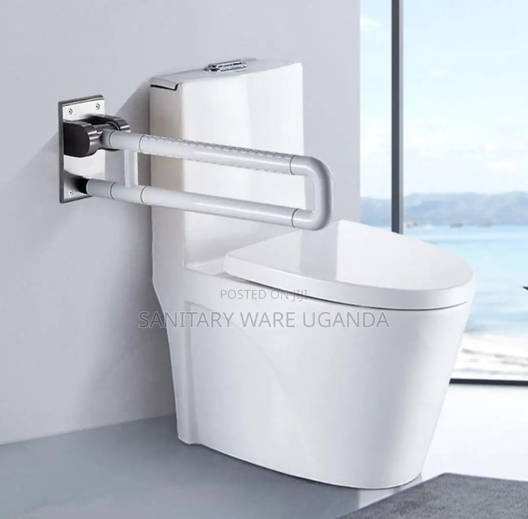 Master Toilet