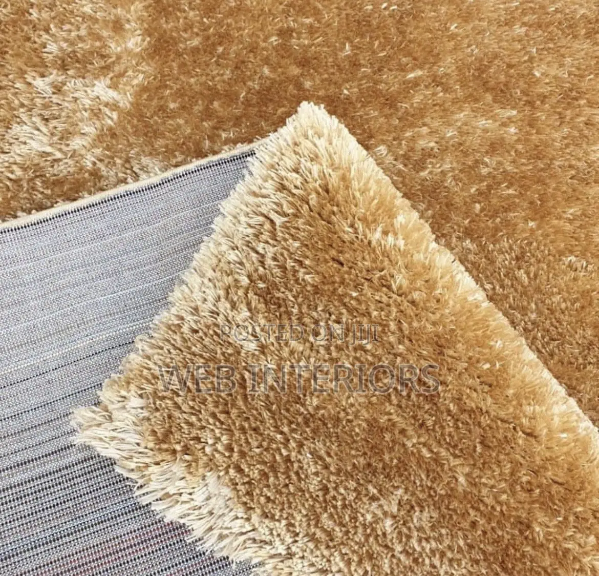 Center Rug Shag Carpets