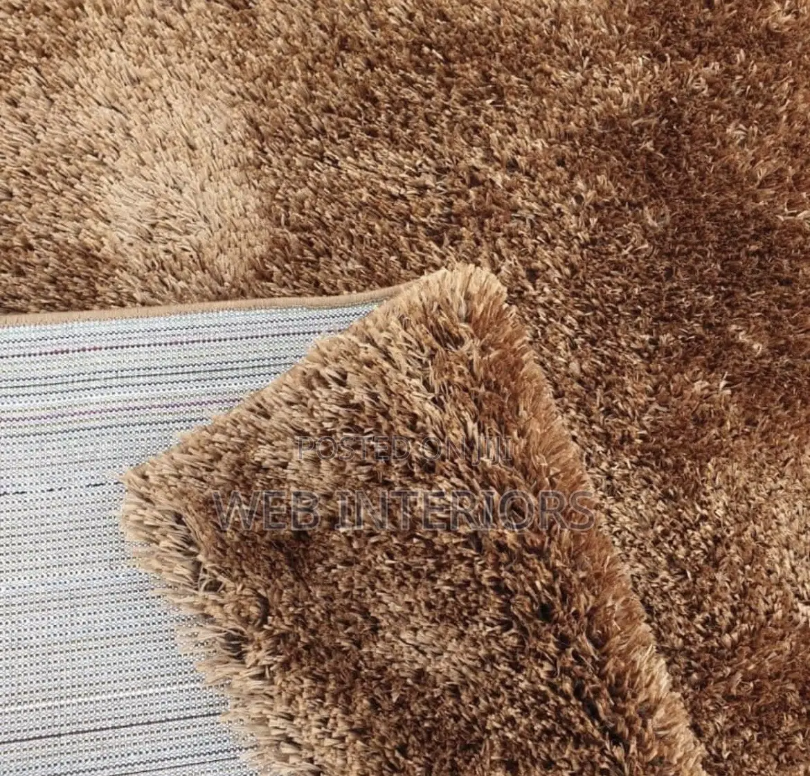 Center Rug Shag Carpets