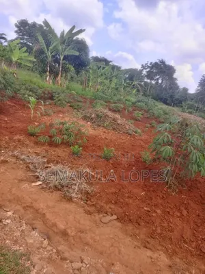 Plot on Sale