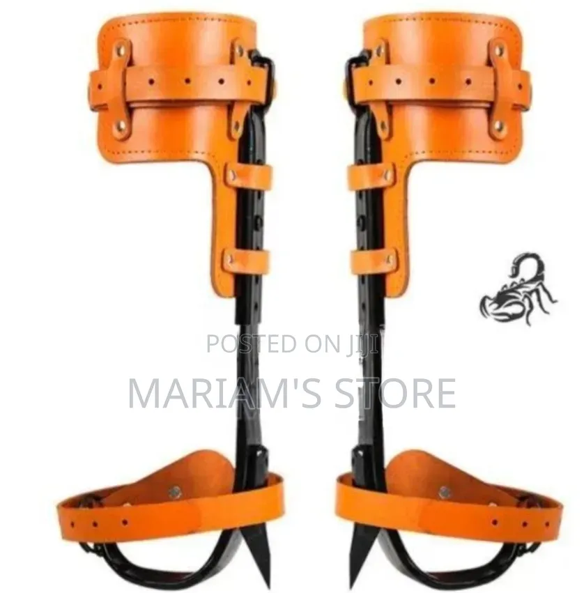 Adjustable Tree and Wooden Pole Climbing Spikes