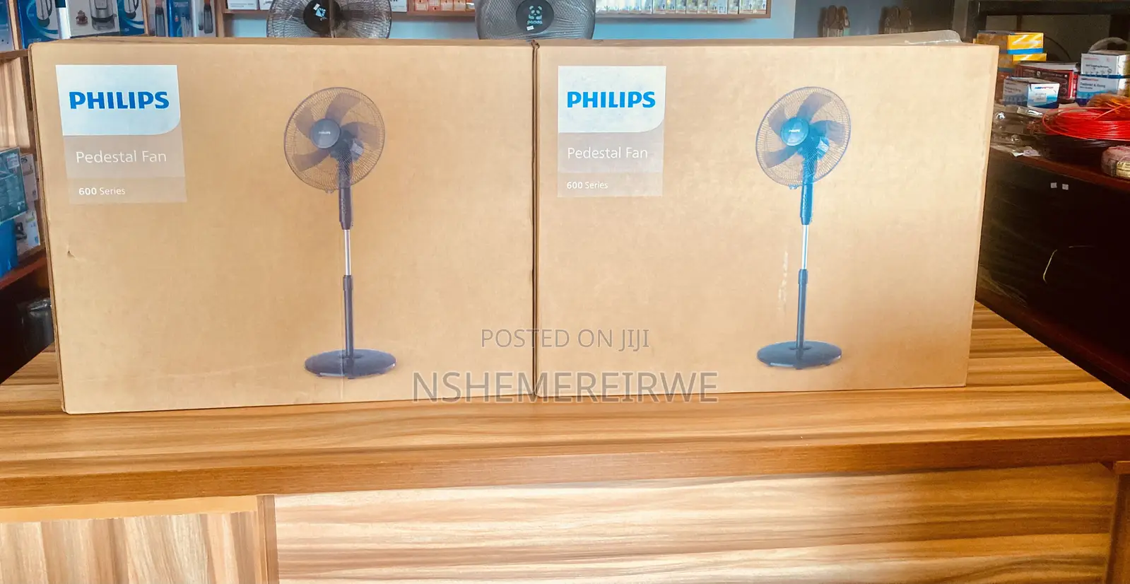 Phillips Standing Fan