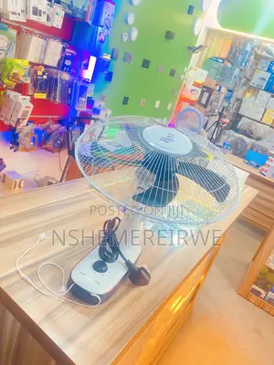 Roch Wall Fan
