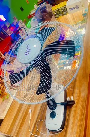 Roch Wall Fan