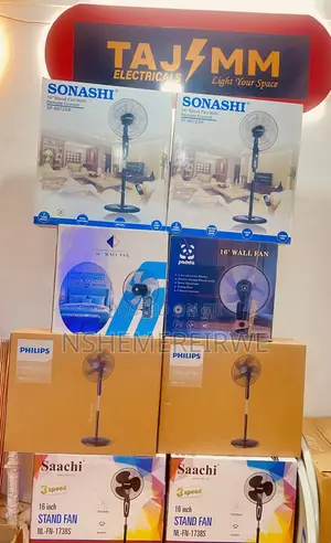 Phillips Standing Fan