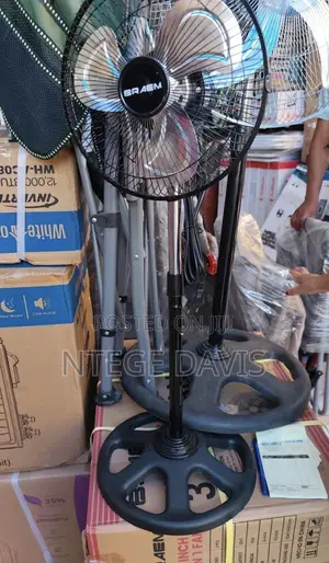 Electric Fan