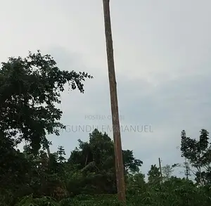 0.5 Hectares Prime Land
