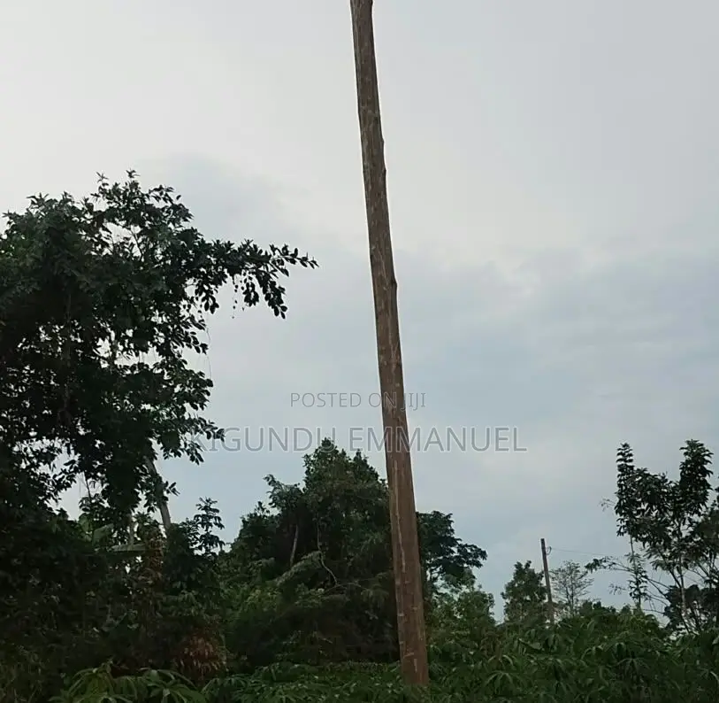 0.5 Hectares Prime Land