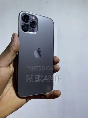 Apple iPhone 12 Pro Max 256 GB Gray