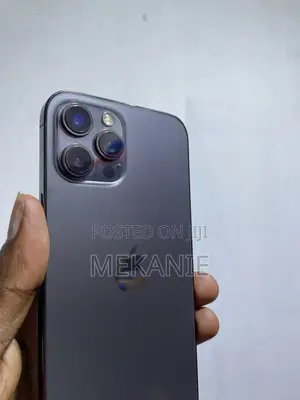 Apple iPhone 12 Pro Max 256 GB Gray