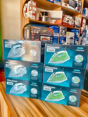 Hisense Steamer Iron Box