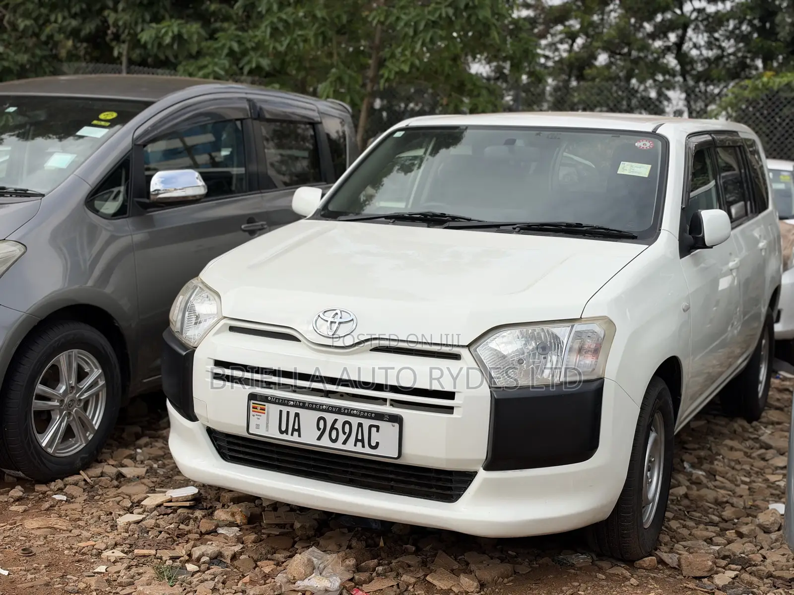 Toyota Probox 2015 White