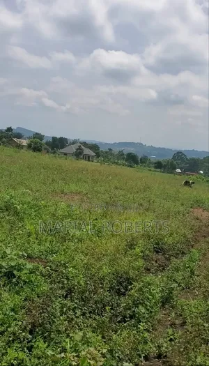 Prime Estate Plots for Sale