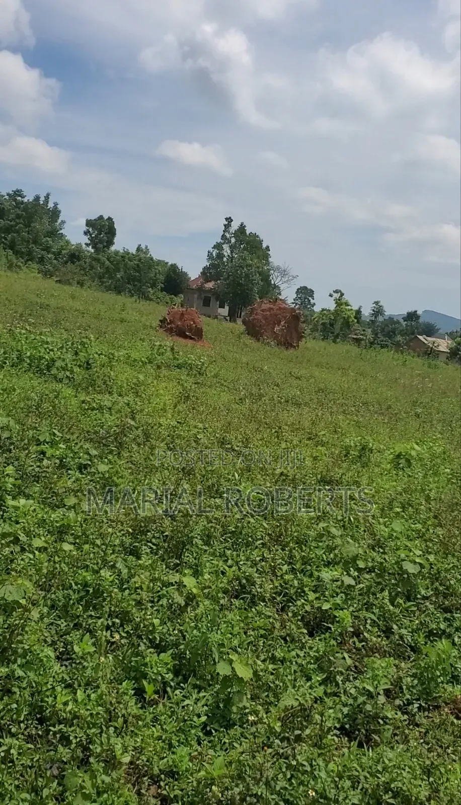 Prime Estate Plots for Sale