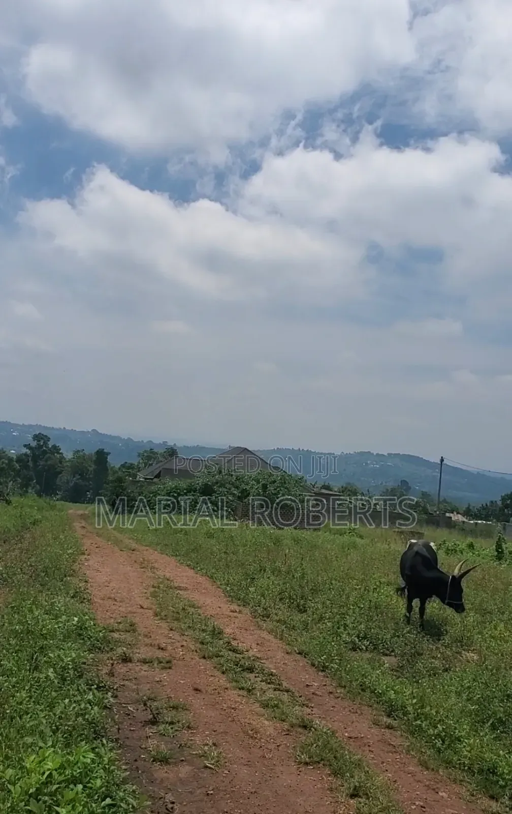 Prime Estate Plots for Sale