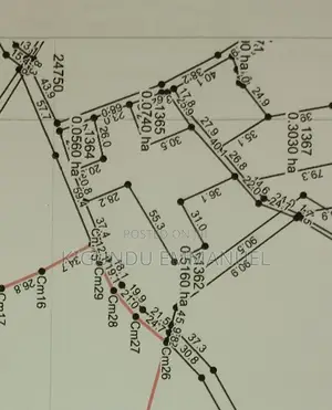 0.5 Hectares Prime Land