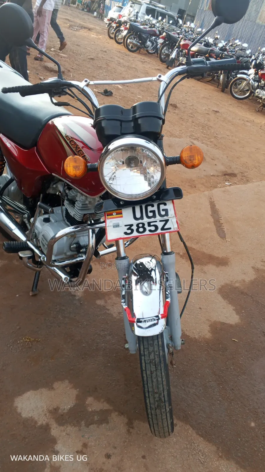 Bajaj Boxer 100 2024 Red