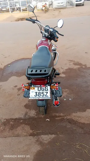 Bajaj Boxer 100 2024 Red