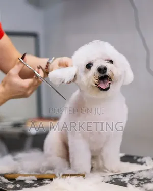 Dog Grooming Services