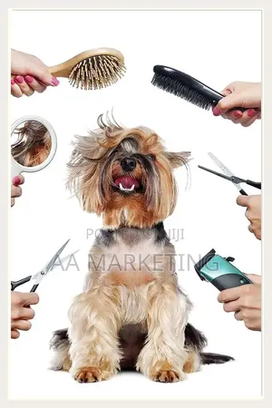 Dog Grooming Services