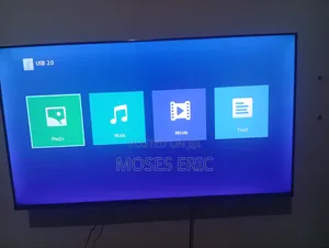 Flat Screen Television