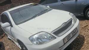 Toyota Allex 2005 White