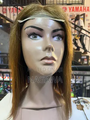 Human Hair Wigs