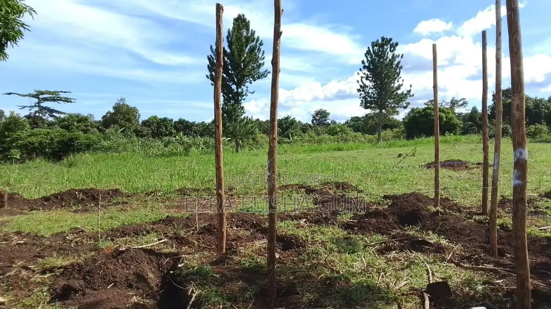 Land for Sell