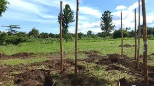 Land for Sell