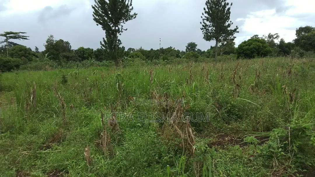 Land for Sell