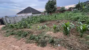 Prime Land