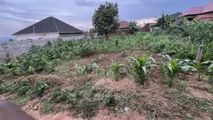 Prime Land