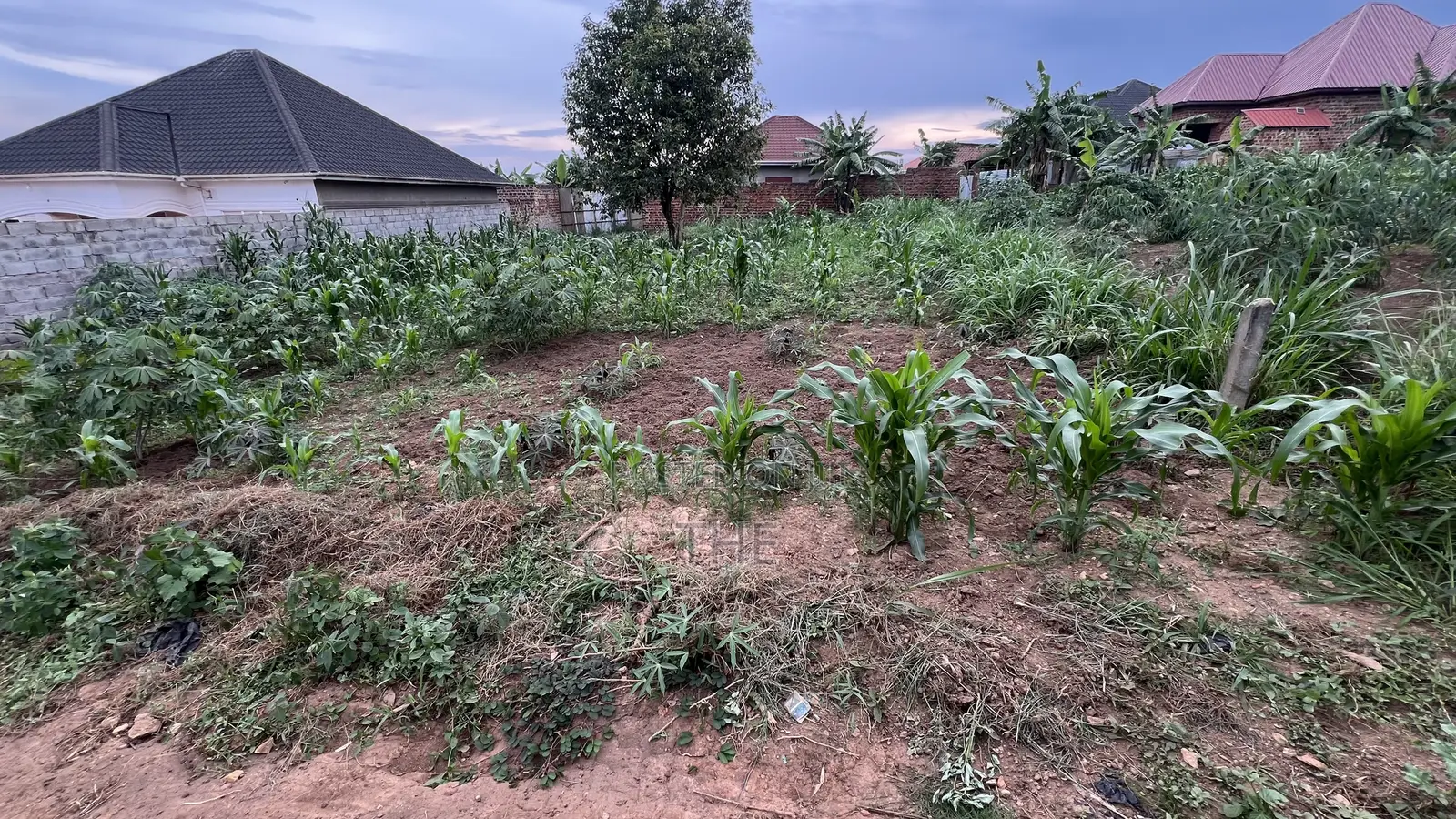 Prime Land