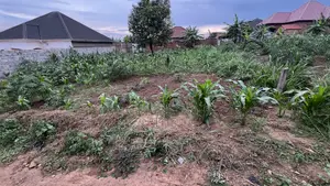 Prime Land