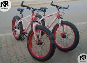Fat Bicycles